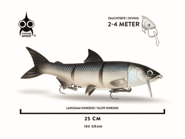 FISHING GHOST – RenkyOne 25cm – Bild 8