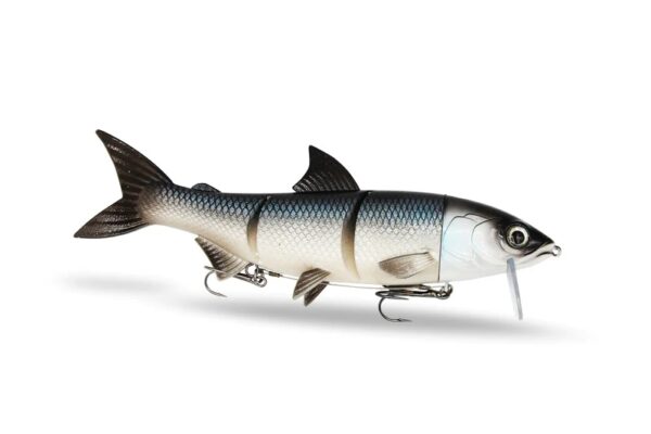 FISHING GHOST – RenkyOne 25cm – Bild 9