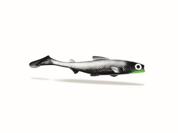 FISHING GHOST – RENKYSHAD 22cm – Bild 5