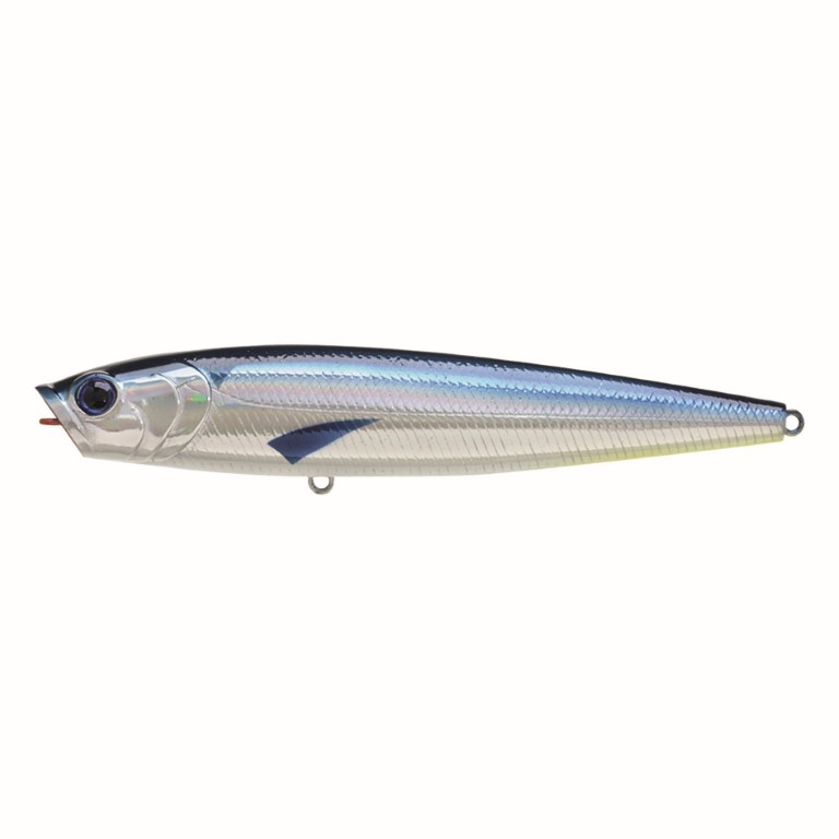 Zebra MS Ghost Minnow