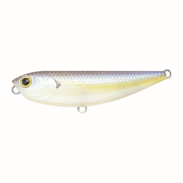 Chartreuse Shad