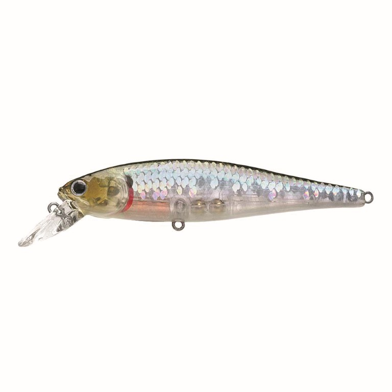 Lucky Craft - SW Pointer 100S Z