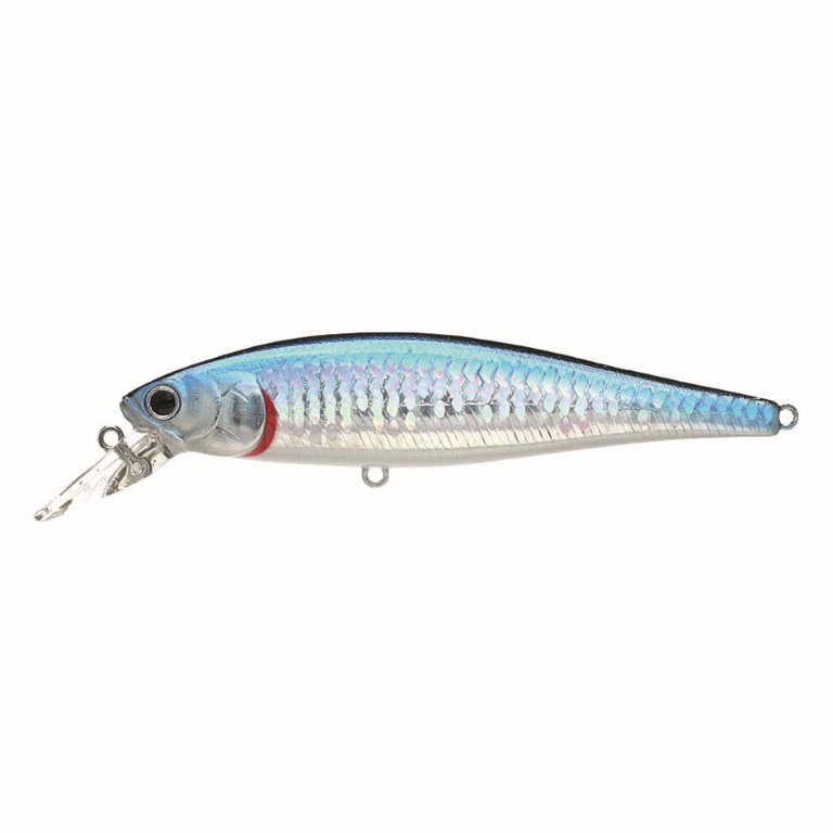 Lucky Craft - SW Pointer 100S Z