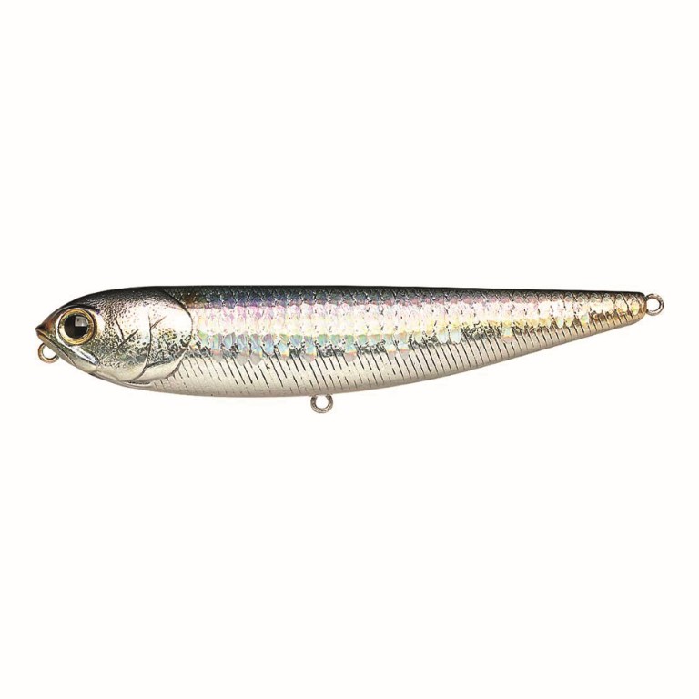 MS American Shad