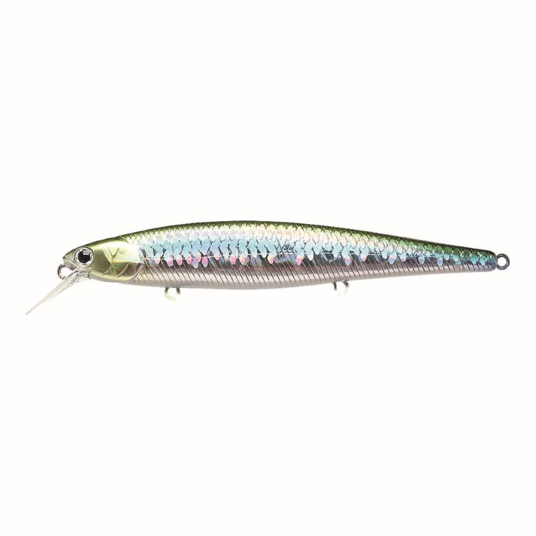 MS Japan Shad