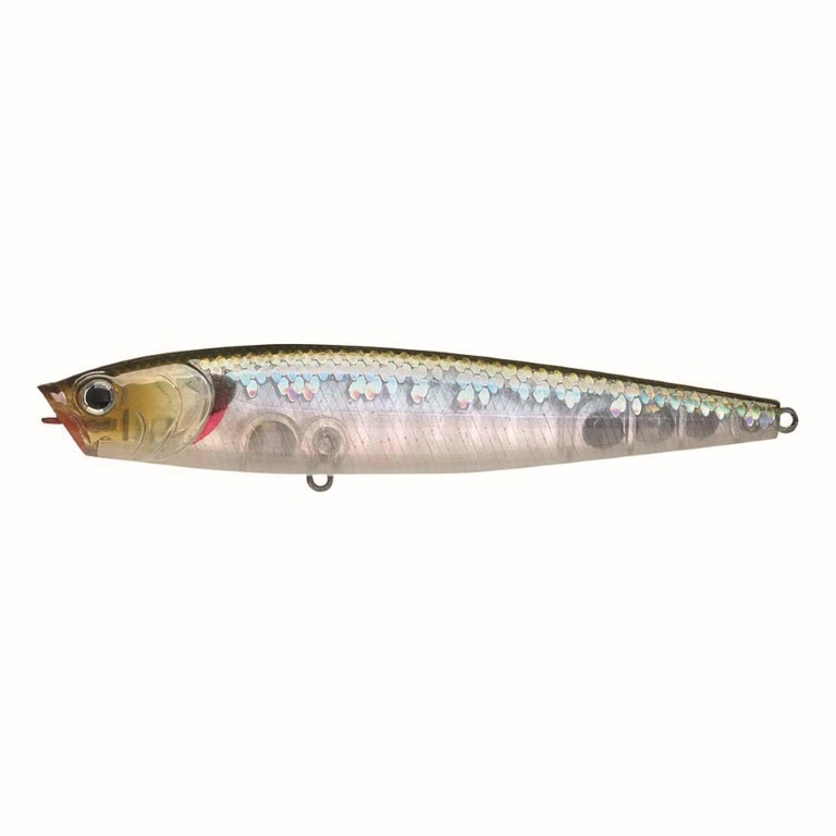 Zebra MS Ghost Minnow