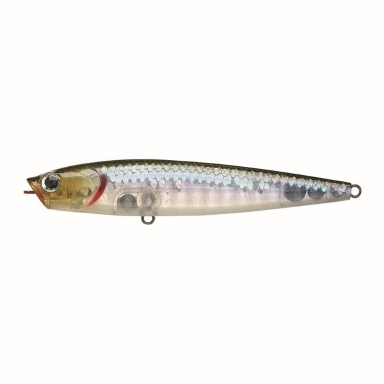 Zebra MS Ghost Minnow