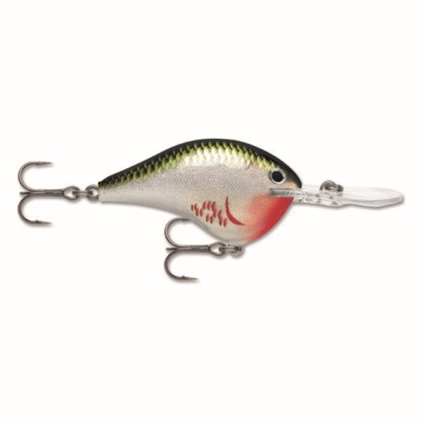 Rapala - DT® (DIVES-TO) Series 70 – Bild 2
