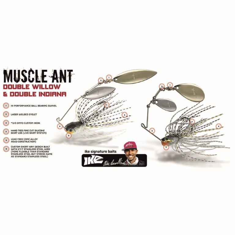 Muscle-Ant-DI_602-Paris-Chartreuse-2