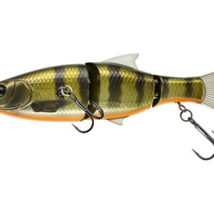 Glide-Bait-130-Dying_481-Dark-Gill-Orange-Belly.jpg