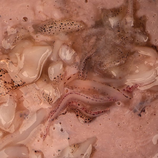 Salted Squid.jpg