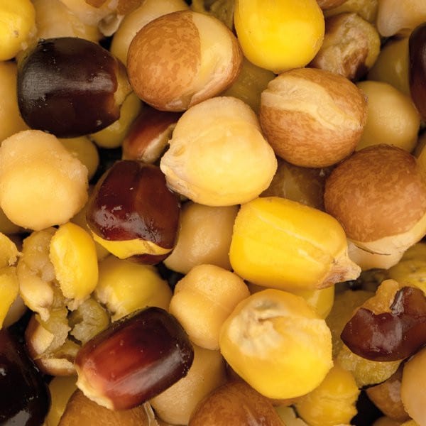 large_seed_mix_square_.2e16d0ba.fill-600x600.jpg