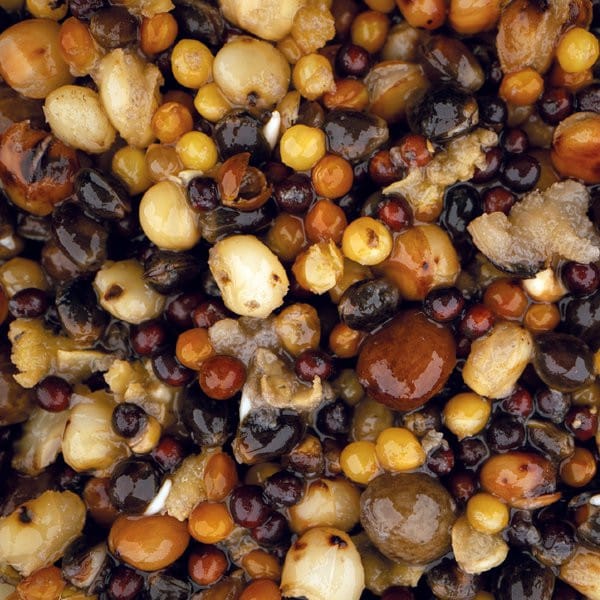 small_seed_mix_500ml_square_.2e16d0ba.fill-600x600.jpg