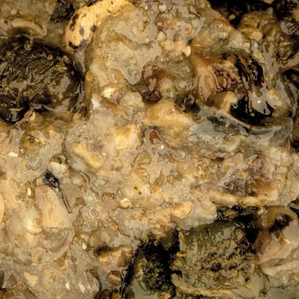 Mussle Blend.jpg