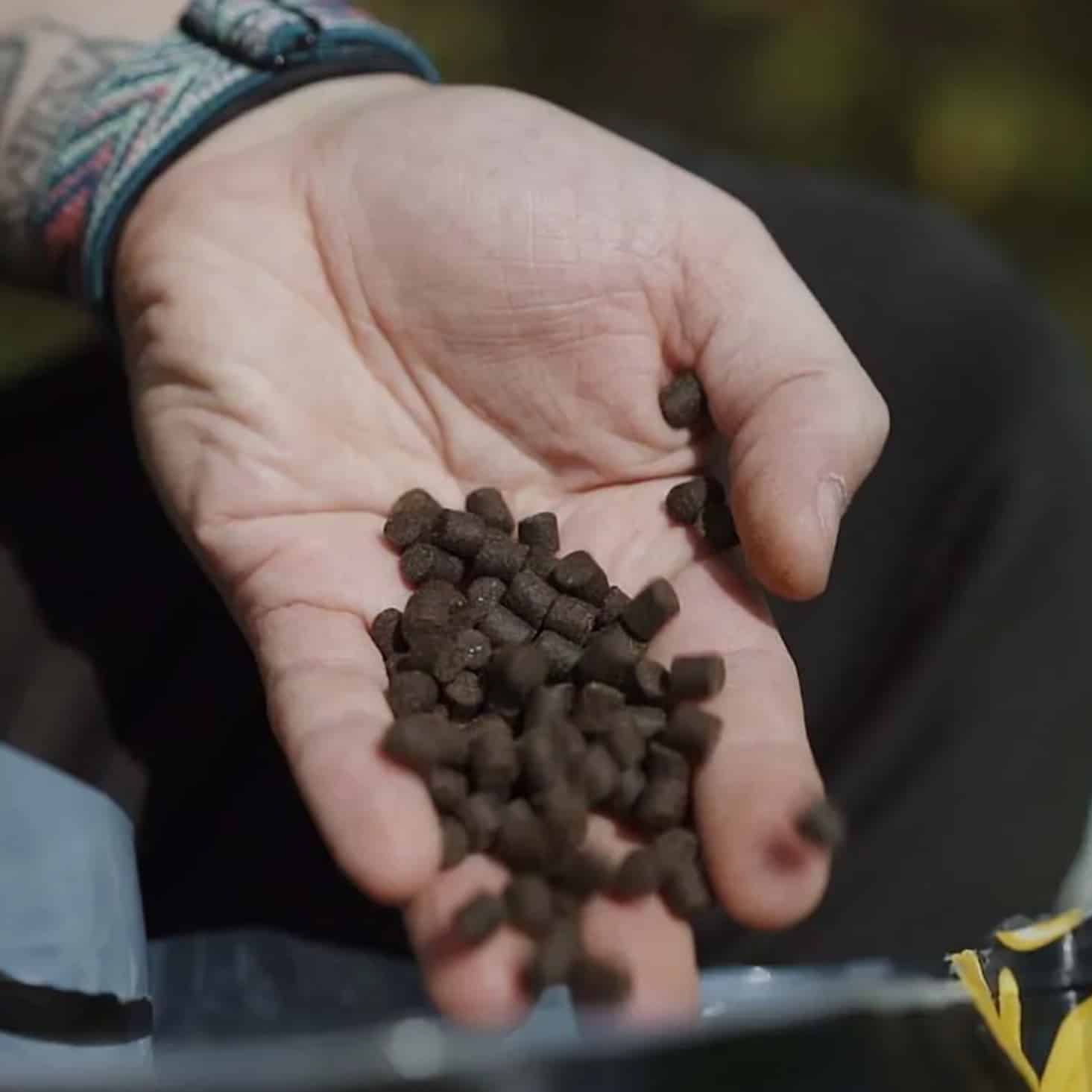 NASH Pellets_edited.jpg