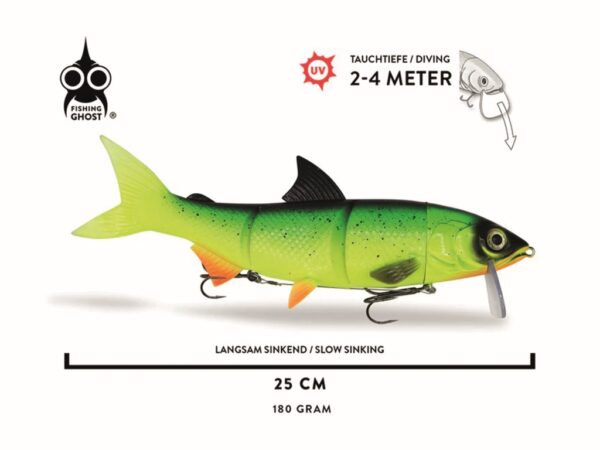 FISHING GHOST – RenkyOne 25cm – Bild 6