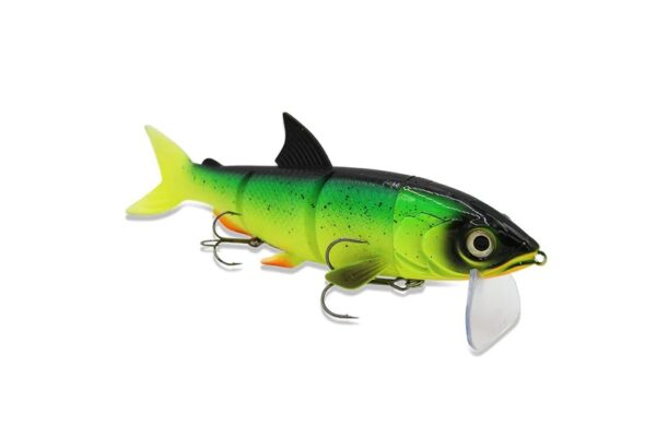 FISHING GHOST – RenkyOne 25cm – Bild 5
