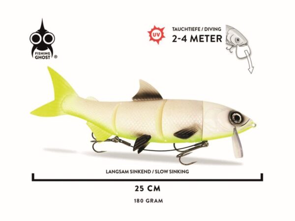 FISHING GHOST – RenkyOne 25cm – Bild 4
