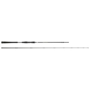 HEARTY RISE - Meter Over Cast / 2,40m / 80-200g