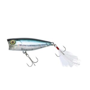 JACKALL - SK-Pop 53