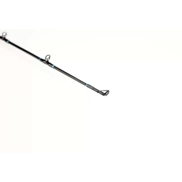 SPORTEX - Black Arrow G-4 Musky (250cm/200g-290g) – Bild 9