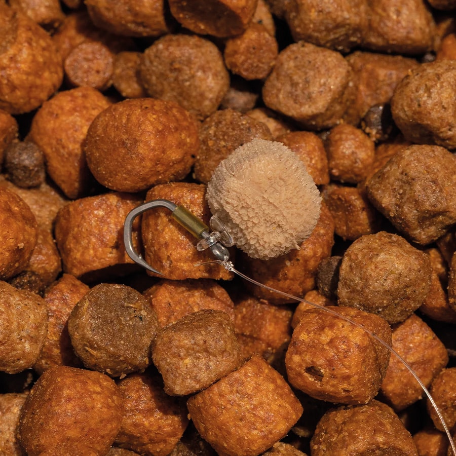 Floating Dog Biscuit